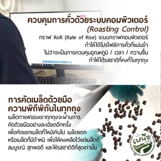 Doi Chang Arabica Premium - เมล็ดกาแฟคั่วจากดอยช้างเชียงราย คัดเกรดพรีเมียม รสชาตินุ่มละมุน กลมกล่อม