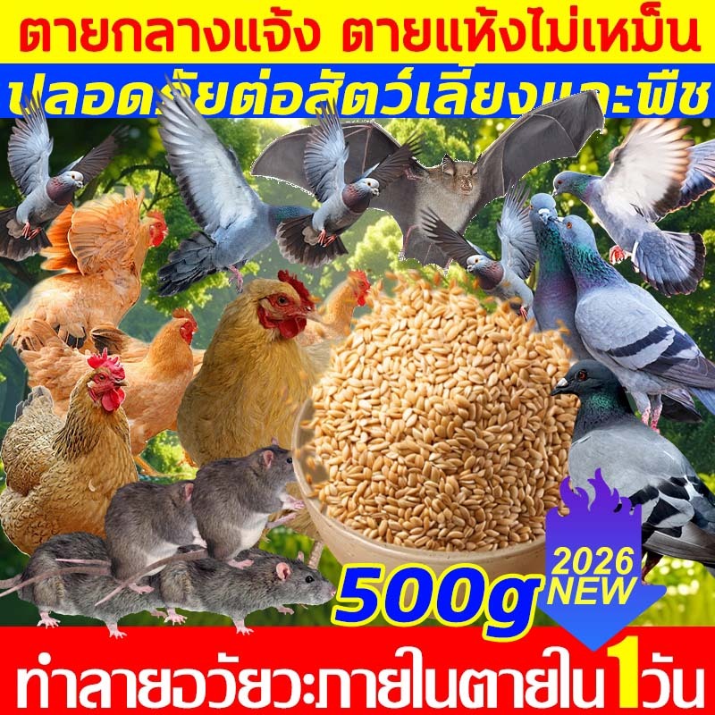 COD ธัญพืชธรรมชาติผสมยาเบื่อนก ยาเบื่อนกพิราบ ยาฆ่านกพิราบทำลายอวัยวะภายในตายใน 1วัน แห้งเร็วและไม่มีกลิ่น เหยื่อกำจัดนก