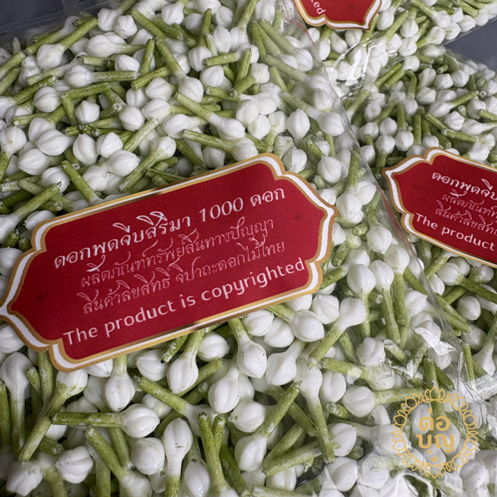 ดอกพุดจีบสิริมา พลาสติกคงทน ประหยัด สำหรับงานมงคล งานฝีมือไทย