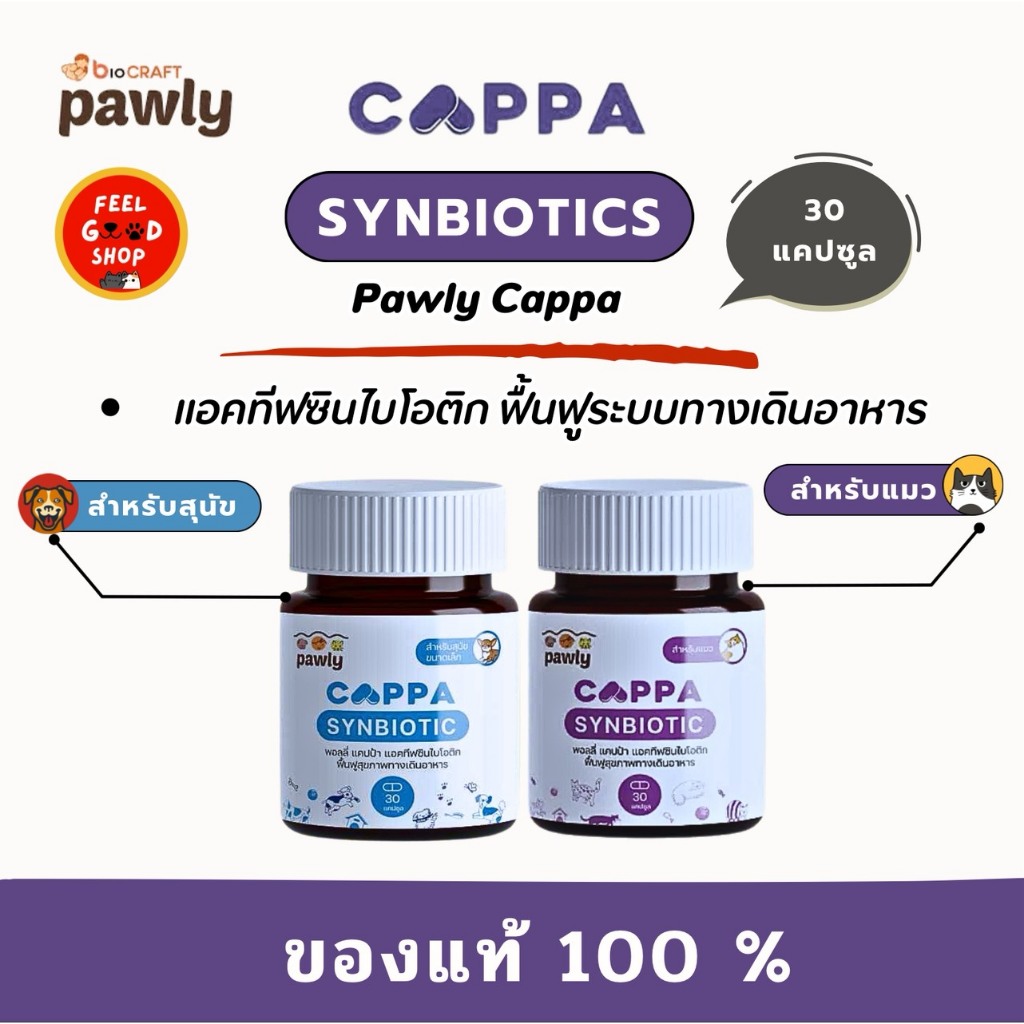 Pawly Cappa (30 แคปซูล) อาหารเสริมสำหรับสุนัขแมว ปรับสมดุล ฟื้นฟูร่างกาย แอคทีฟซินไบโอติก ช่วยฟื้นฟูระบบทางเดินอาหาร