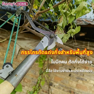 💥จัดส่งที่รวดเร็ว💥กรรไกรตัดกิ่งไม้สูง ฟรีเชือก1.5M ตัดแต่งสวน ตัดแต่งผลไม้ ตัดแต่งกิ่งไม้ ประหยัดเวลาและแรง ไม่มีเสา