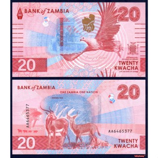 แซมเบีย Zambia 20 ควาชา P-63 ปี 2024 สภาพใหม่เอี่ยม 100% สำห…