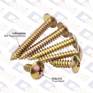 สกรูเกลียวปล่อย หัวร่ม หัว T น็อตเกลียวปล่อย สกรูเกลียวเหล็ก ขนาด #8 #10 Truss Head Screw | แพ็ค 20 ตัว