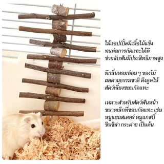 coralcoveshop ของเล่นแทะเล็ม ไม้แอปเปิ้ลแท้ ธรรมชาติ ลับฟัน สำหรับกระต่าย หนูแฮมสเตอร์ ชินชิล่า นก