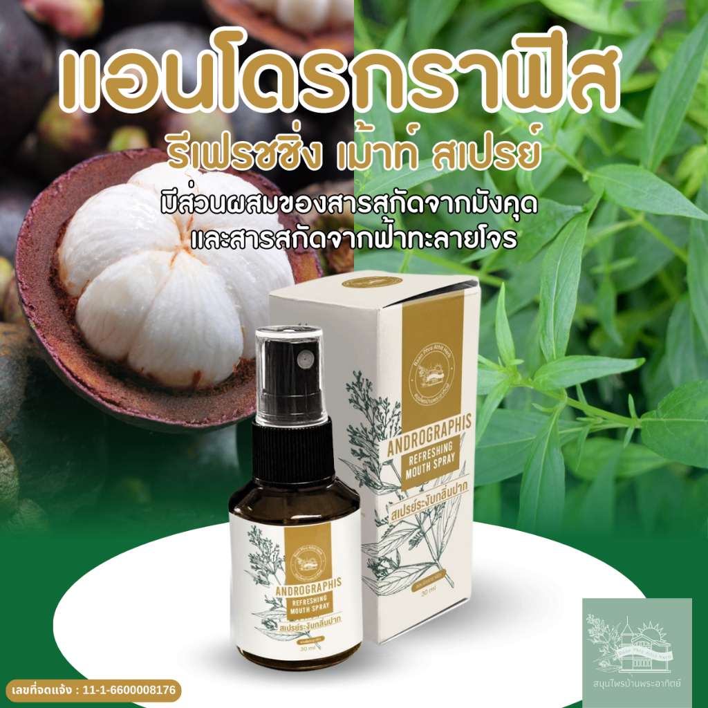 เซตสินค้าสมุนไพร ลูทีน 1 เควอซิทิน 1 คิวเท็น 1 ยาสีฟัน 2 เม้าท์สเปรย์ 1 - รูปที่ 4