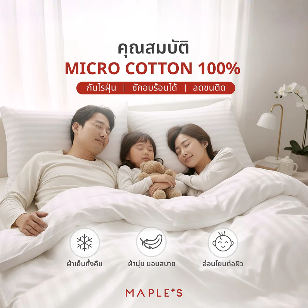 MAPLE S ผ้าปูรัดมุมลายริ้ว 550เส้น กันไรฝุ่น สำหรับที่นอน 6-10นิ้ว ขนาด 3.5-6ฟุต thumbnail 6
