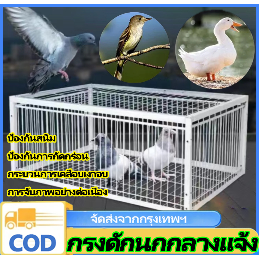 n&z เพนียดดักนก กรงดักนก กรงต่อนก พื้นที่ว่าง ทำความสะอาดสะดวก พื้นที่สบายและติดตั้งสะดวก มีช่องรับแสง(60*40*26cm)