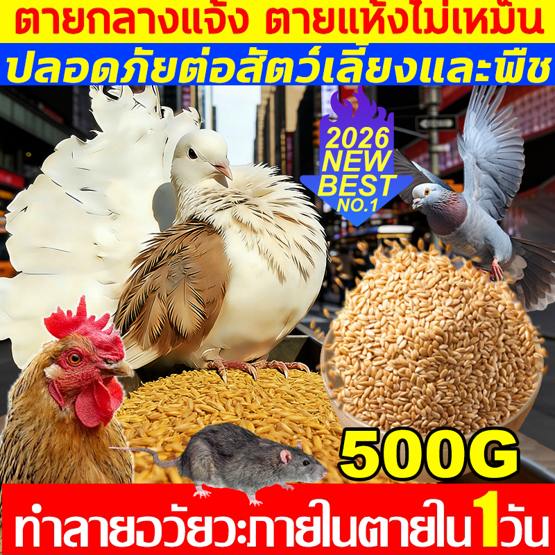 200% ได้ผล ยาเบื่อ นกพิราบ ยากำจัดนกพิราบ ยาเบื่อนก ไล่นก ก้อนไล่นก กำจัดนก เหยื่อกำจัดนกพิราบ เบื่อนกพิราบ ยาฆ่านกพิรา-