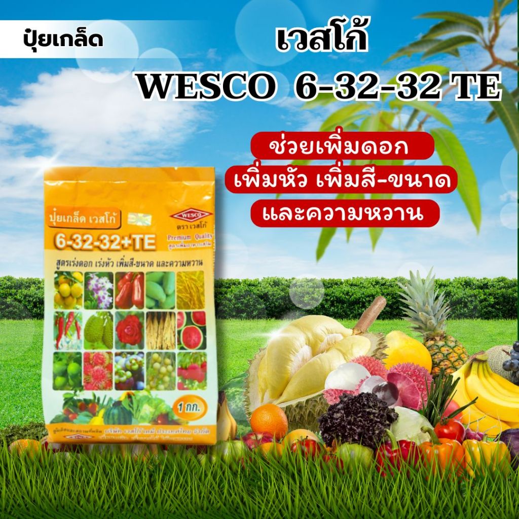 ปุ๋ยเกล็ด เวสโก้ WESCO 6-32-32 TE (1000G) ช่วยเพิ่มดอก เพิ่มหัว เพิ่มสี-ขนาดและความหวาน