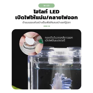 ตู้ปลากัด ตู้เลี้ยงปลา โหลปลากัด ตู้ปลาขนาดเล็ก สามารถจับคู่กับไฟ LED เหมาะสำหรับเลี้ยงปลากัด มีให้เลือก 3 สี