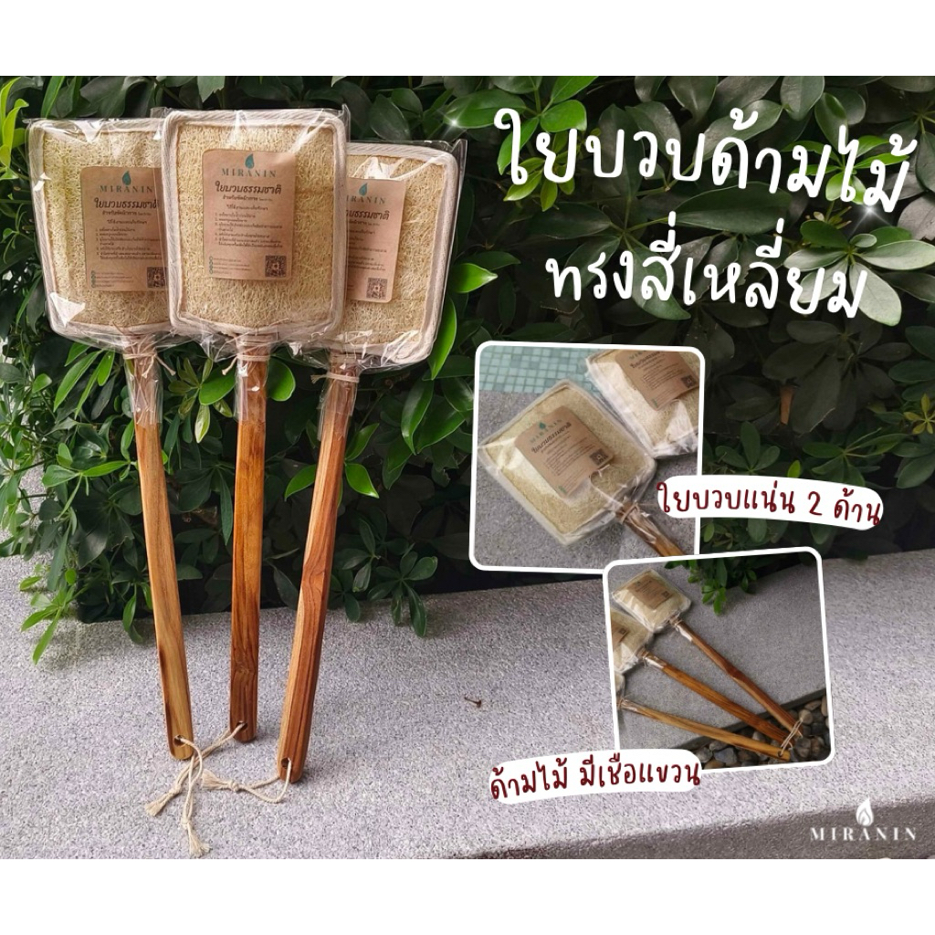 ใยบวบขัดหลัง ไม้ขัดหลัง ทรงสี่เหลี่ยม ด้ามไม้แข็งแรง