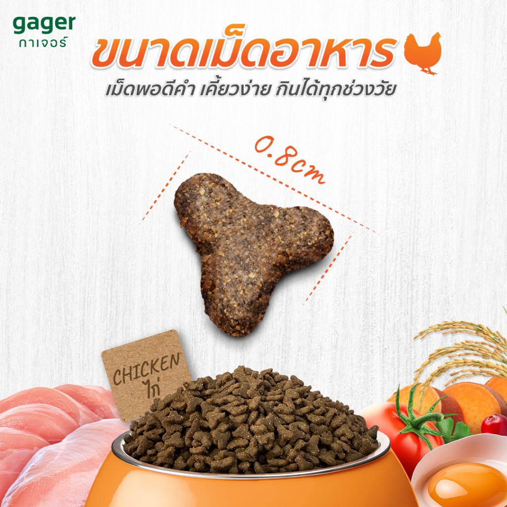 (ยกลัง10ถุง) Gager อาหารแมว กาเจอร์ เสริมวิตามิน เพื่อสุขภาพ พัฒนาโดยสัตวแพทย์ (1กิโล10ถุงเลือกสูตร) - รูปที่ 2