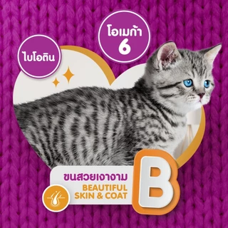 [ยกลัง x28] Whiskas วิสกัส อาหารเปียกแมว 80 กรัม สูตรแมวโต แมวเด็ก แมวสูงอายุ