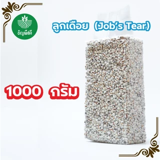 ลูกเดือยแท้ 100% ธัญพืชคุณภาพสูง คัดพรีเมียม ไม่ปนเศษ ไม่อับ เหมาะสำหรับสายสุขภาพ และเมนูคลีนทุกชนิด