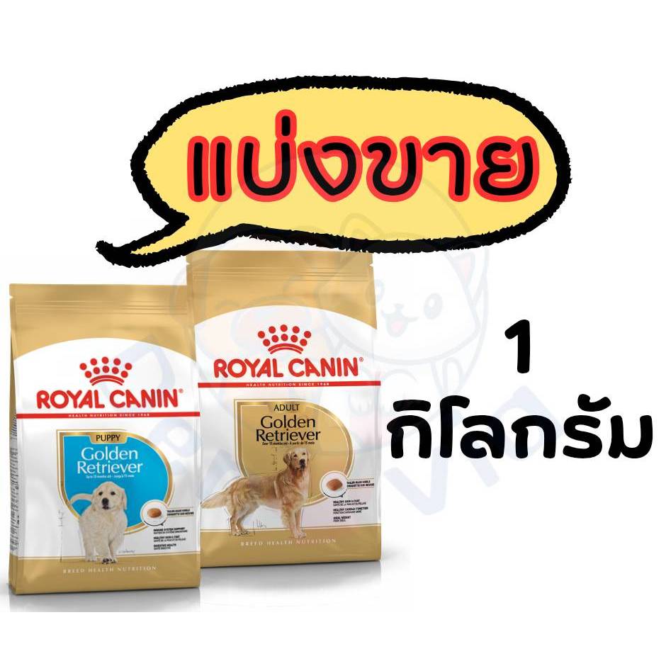Royal canin GOLDEN RETRIEVER PUPPY 12 kg. อาหารลูกสุนัข พันธุ์โกลเด้น รีทรีฟเวอร์ ชนิดเม็ด
