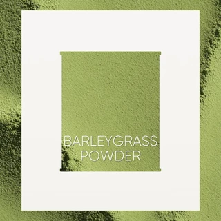 Llamito ผงใบอ่อนข้าวบาร์เลย์ ออร์แกนิค (Organic Barley Grass Powder) ขนาด 250g
