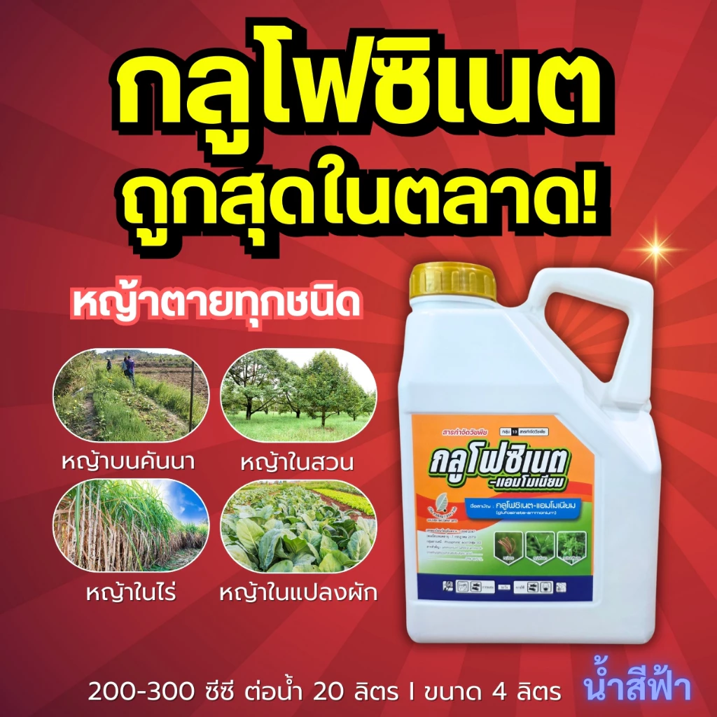 กลูโฟซิเนต ถูกที่สุด! (ยาฆ่าหญ้า) หญ้าทุกชนิด หญ้าตายดี เห็นผลไว แกลลอน 4 ลิตร
