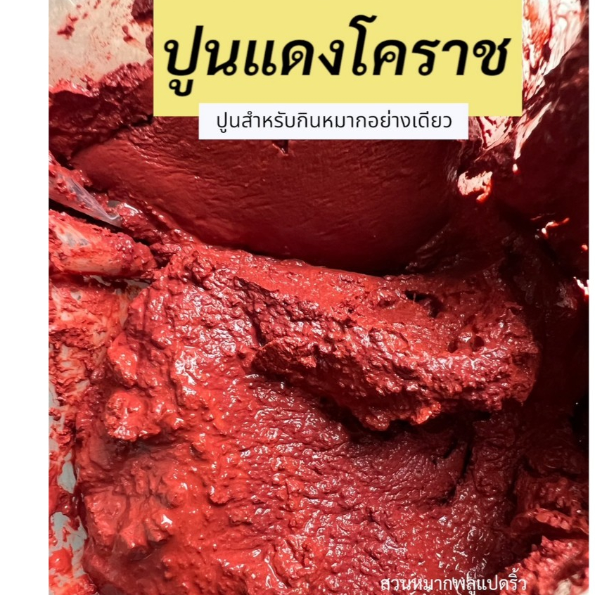 ปูน ปูนกินหมาก ปูนแดงโคราช 500กรัม ปูนกินหมากราคาส่ง ส่งไว
