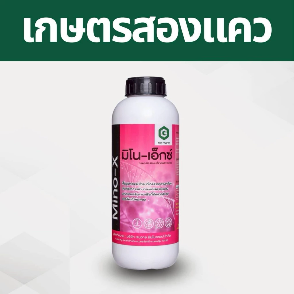 มิโนเอ็กซ์(กรดอะมิโนจำเป็น+น้ำตาลทางด่วน) 1ลิตร