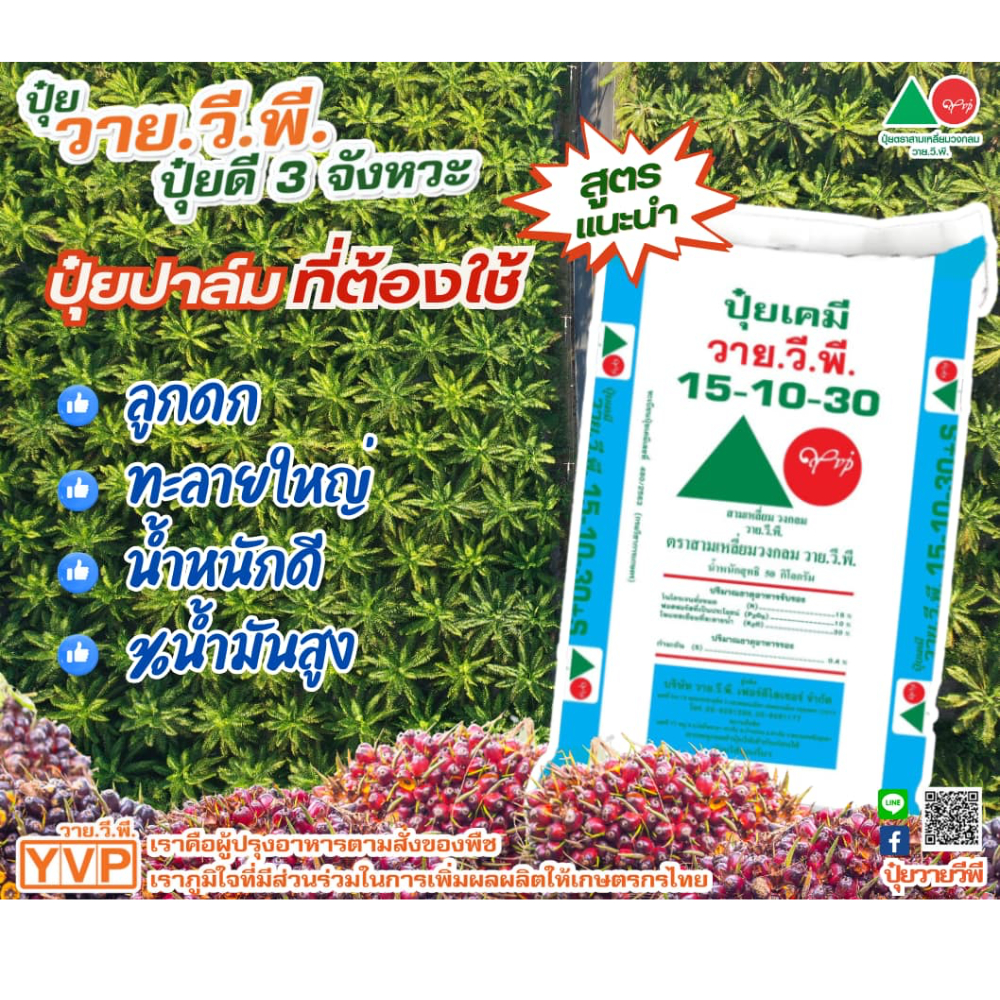 ปุ๋ยเคมี 15-10-30 YVP วายวีพี น้ำหนัก50กิโลกรัม
