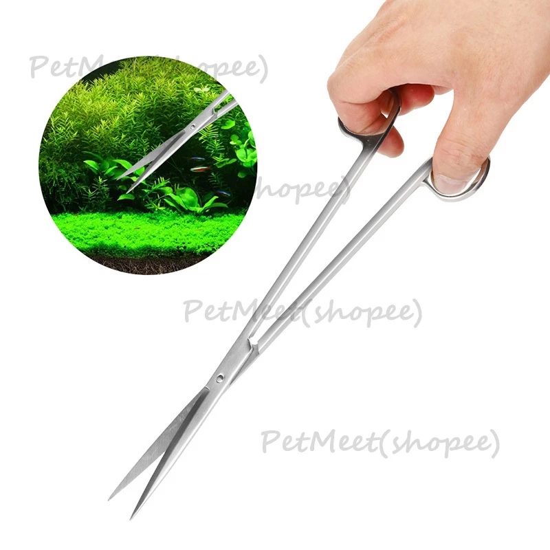 ฟอร์เซป Forceps แหนบ กรรไกร ที่เขี่ยปาดดินสแตนเลส อุปกรณ์จัดตู้ไม้น้ำ thumbnail 8