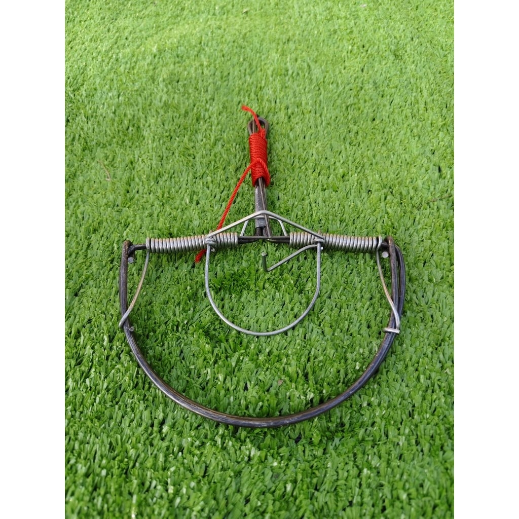 รูปภาพ 2