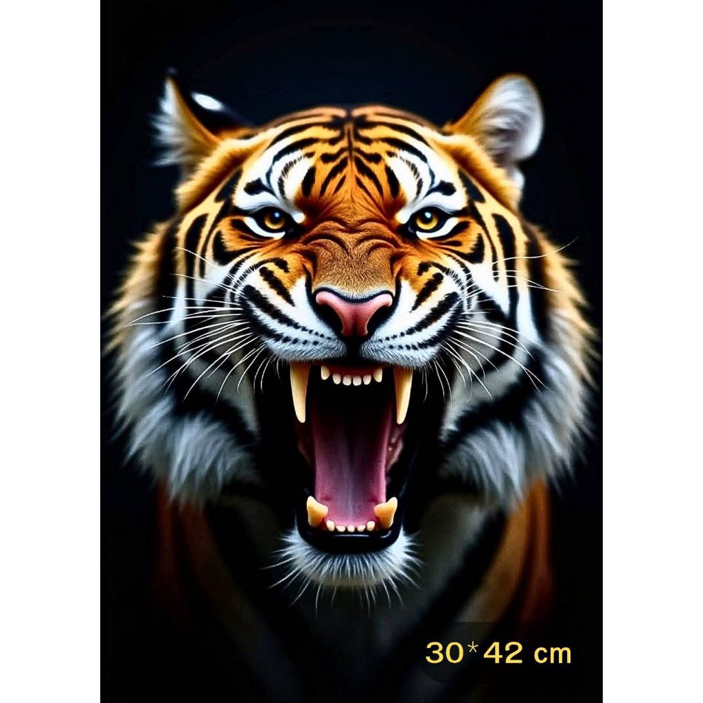 รูปโปสเตอร์ เสือ กระดาษหนา 200แกรม ไม่มีกรอบ ภาพมงคล เสริมฮวงจุ้ย ตบแต่งบ้านขนาด A3 (29.7*42 cm)