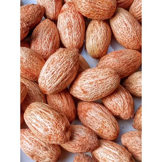 เมล็ดมะกอกป่า30เมล็ด เมล็ดใหม่ปีต่อปี