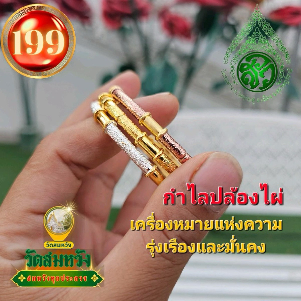 กำไรปล้องไผ่เล็ก วัด สมหวัง สุราษฎร์