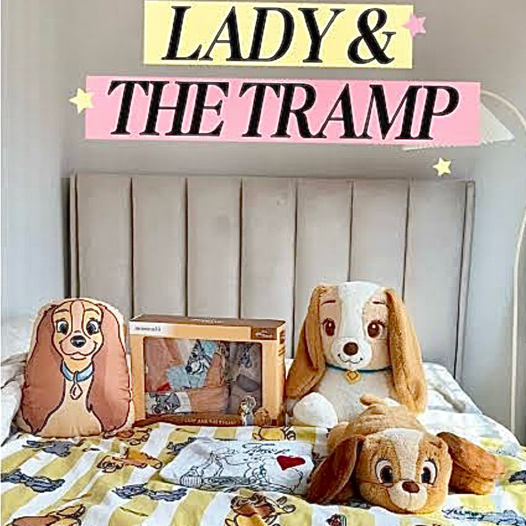 รวม Lady & The Tramp 🤎 ผ้านวมเลดี้แทรมป์ ตุ๊กตาผ้าห่มเลดี้แทรมป์ สลิปเปอร์เลดี้แทรมป์ กล่องสุ่มเลดี้แทรมป์