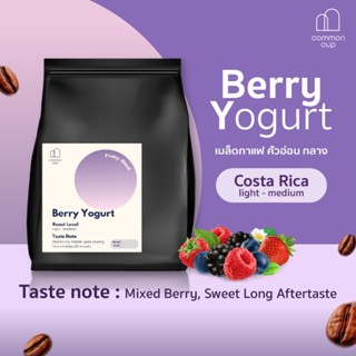 เมล็ดกาแฟคั่วอ่อน Costa Rica -  Berry Yogurt บลูเบอร์รี่ มิก…