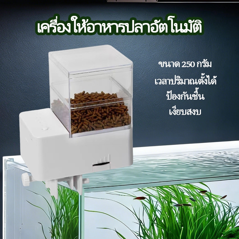🔥เครื่องให้อาหารปลาอัตโนมัติ เวลาอัจฉริยะ 250g ทำงานเงียบ ป้องกันชื้น ตู้ปลา/แท็งก์ปลา พร้อมส่ง