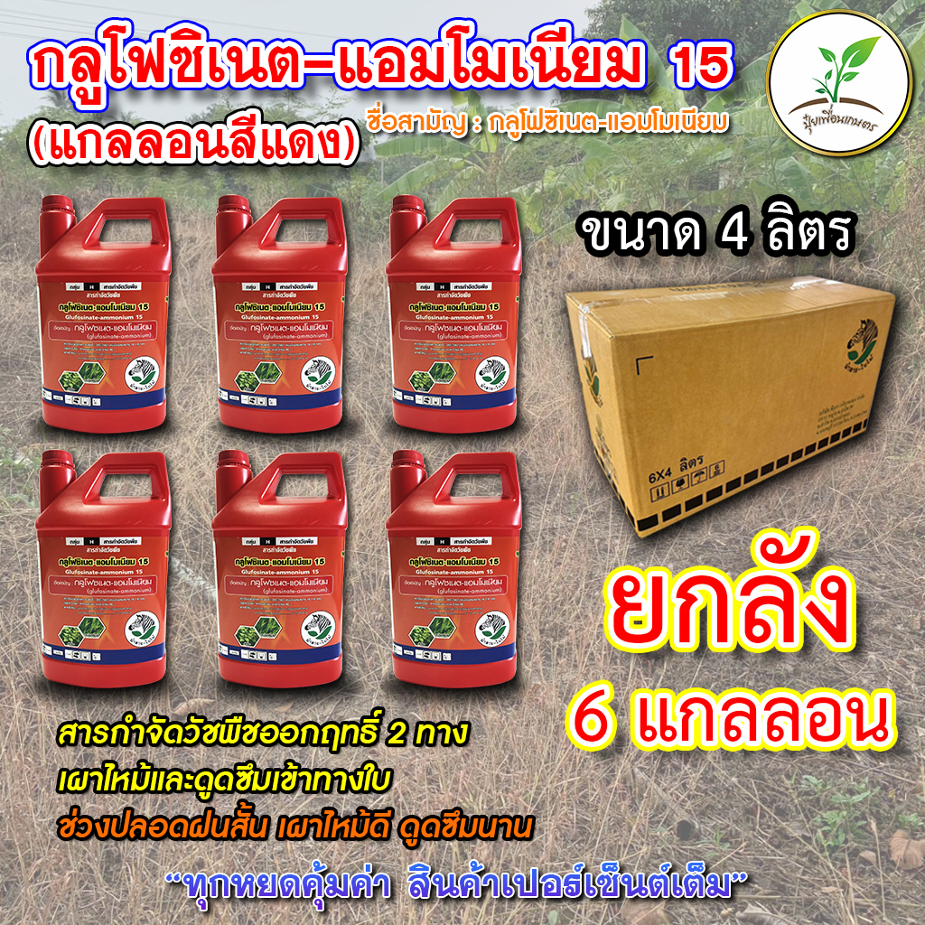 กลูโฟซิเนต-แอมโมเนียม15(แกลลอนสีแดง) ตราม้าลายใบไม้ สารกำจัดวัชพืชแบบเผาไหม้และดูดซึม ยกลัง 6 แกลลอน