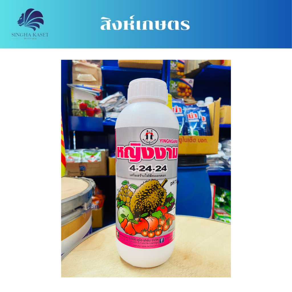 ปุ่ญเคมี ตราหญิงงาม สูตร 4-24-24 สะสมอาหาร สร้างตาดอก ใบเขียวเข้ม สร้างแป้ง สร้างน้ำตาล