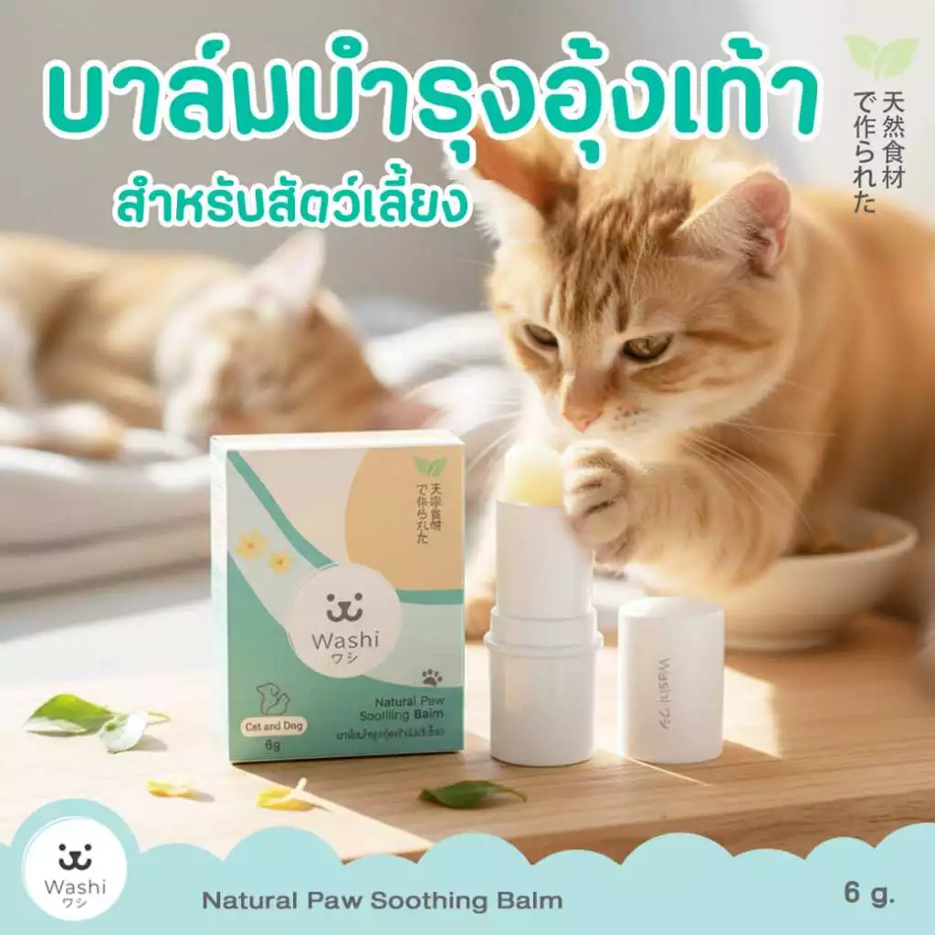 Washiワシ บาล์มบำรุงอุ้งเท้าสัตว์เลี้ยง Human Grade แบบลิปสติก อุ้งเท้าเนียนนุ่ม ไม่แตกกร้าน บำรุงเท้า สุนัข แมว
