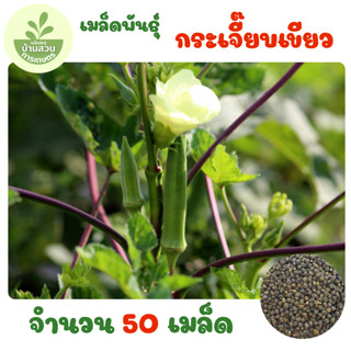 เมล็ดพันธุ์กระเจี๊ยบเขียว จำนวน 50 เมล็ด