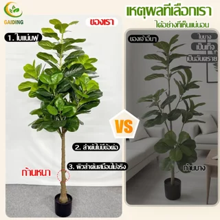 🎍คุ้มค่าที่สุด🎍ต้นไม้ปลอม ต้นไม้ปลอมใหญ่ สูง120/150ซม ความจำลอง 99% สไตล์นอร์ดิก