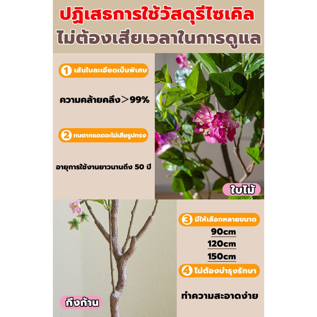 ☘สามเหลี่ยมพลัมต้นไม้ปลอม0ฟอร์มาลดีไฮด์ ไม่มีกลิ่น ไม่ต้องบำรุงรักษา อนของจริงความจำลอง 99%ต้นไม้ปลอมใหญ่90/120/150CM - รูปที่ 7