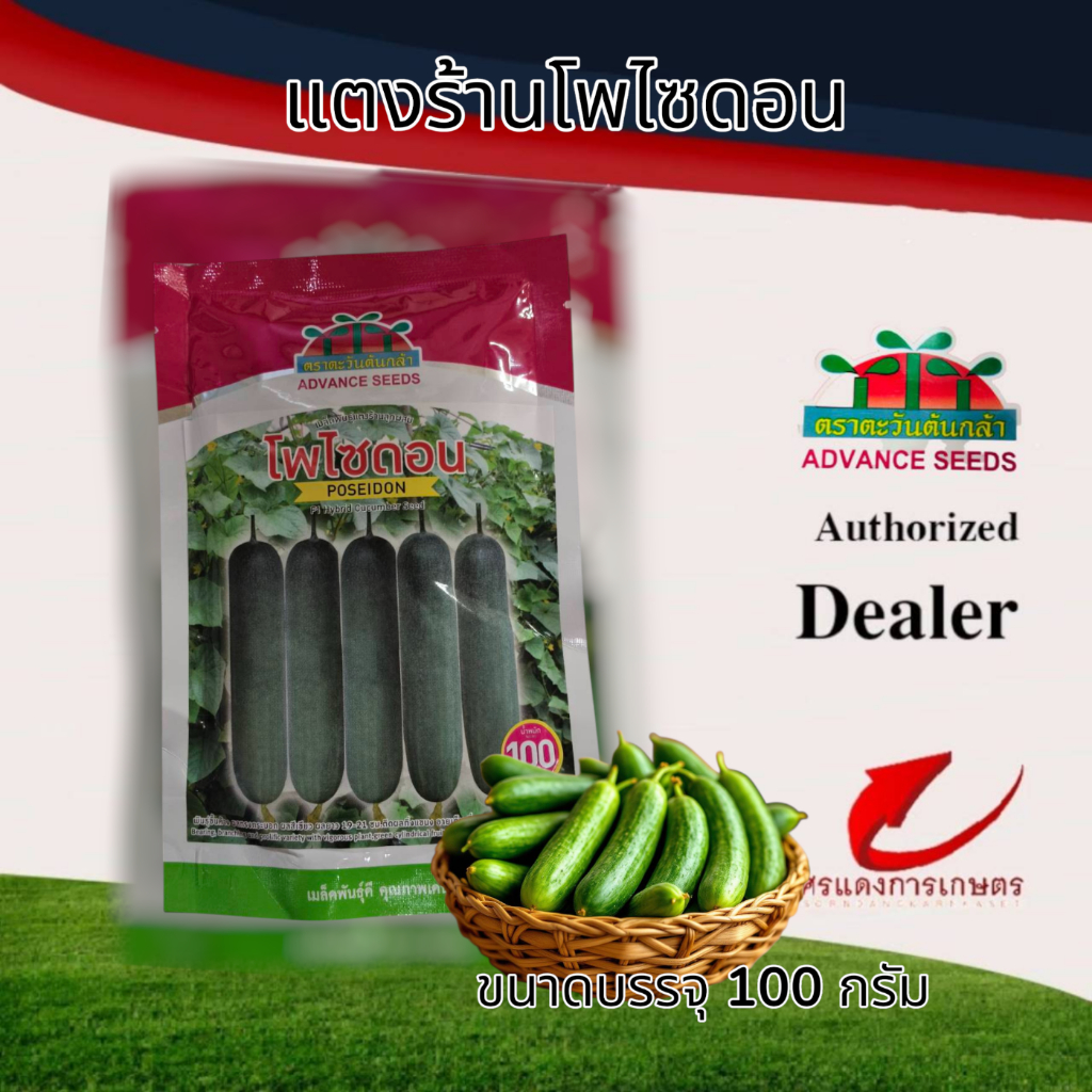 เมล็ดพันธุ์แตงร้านลูกผสมโพไซดอน 100 กรัม ราคา ถูกที่สุด ดีลบีเคเค