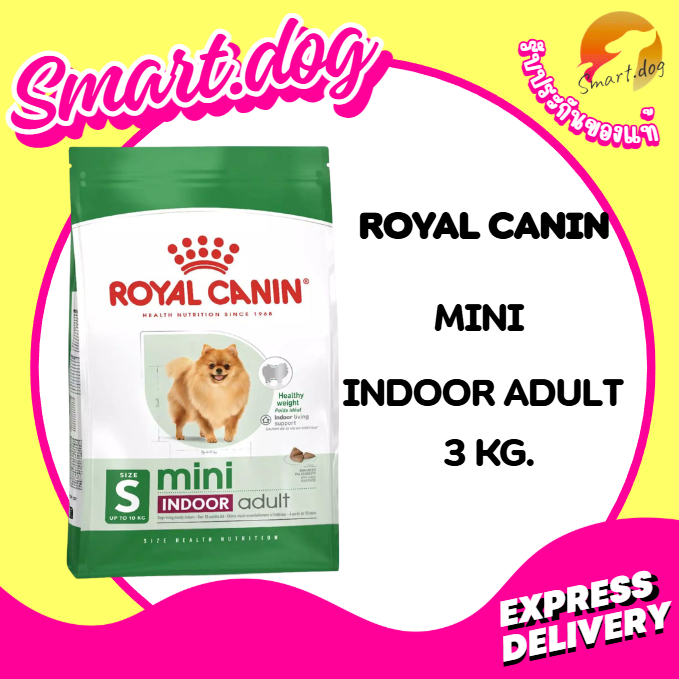 Royal canin TH MINI INDOOR ADULT 3 kg. อาหารสุนัขโต พันธุ์เล็ก เลี้ยงในบ้าน ชนิดเม็ด 3 กก.