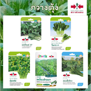 เมล็ดกวางตุ้ง แบบซอง ตราศรแดง 🥬ทศกัณฐ์37,จั่นเจา,กุ้ยเฟย,เหล…