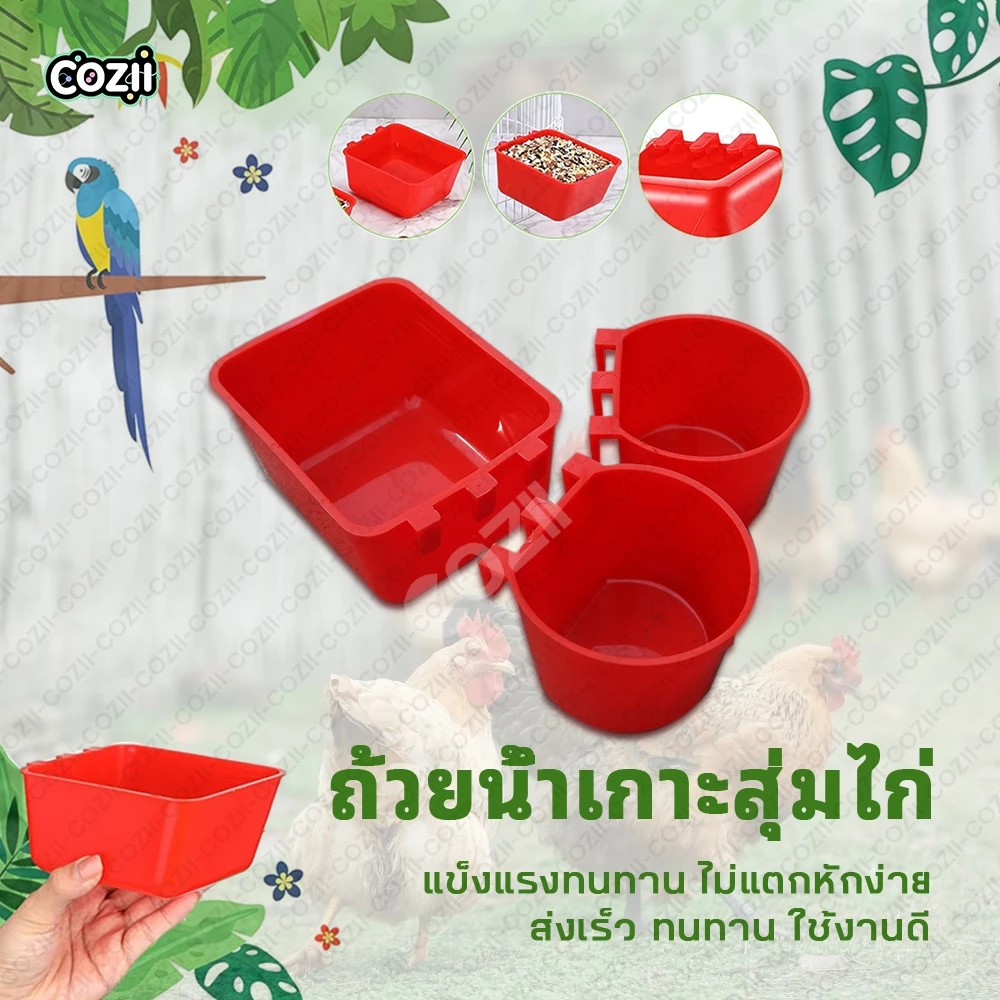 COZII ถ้วยน้ำไก่-สัตว์ปีก นก ไก่ชน เกาะสุ่ม ติดตั้งง่าย thumbnail 3