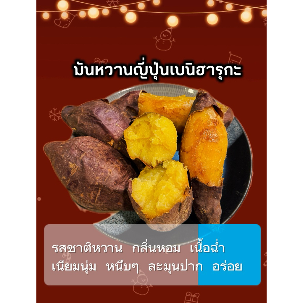 มันหวานญี่ปุ่นเบนิฮารุกะแท้ นำเข้า พร้อมส่ง (จัดส่งมันหวานแบบติดดินค่ะ)