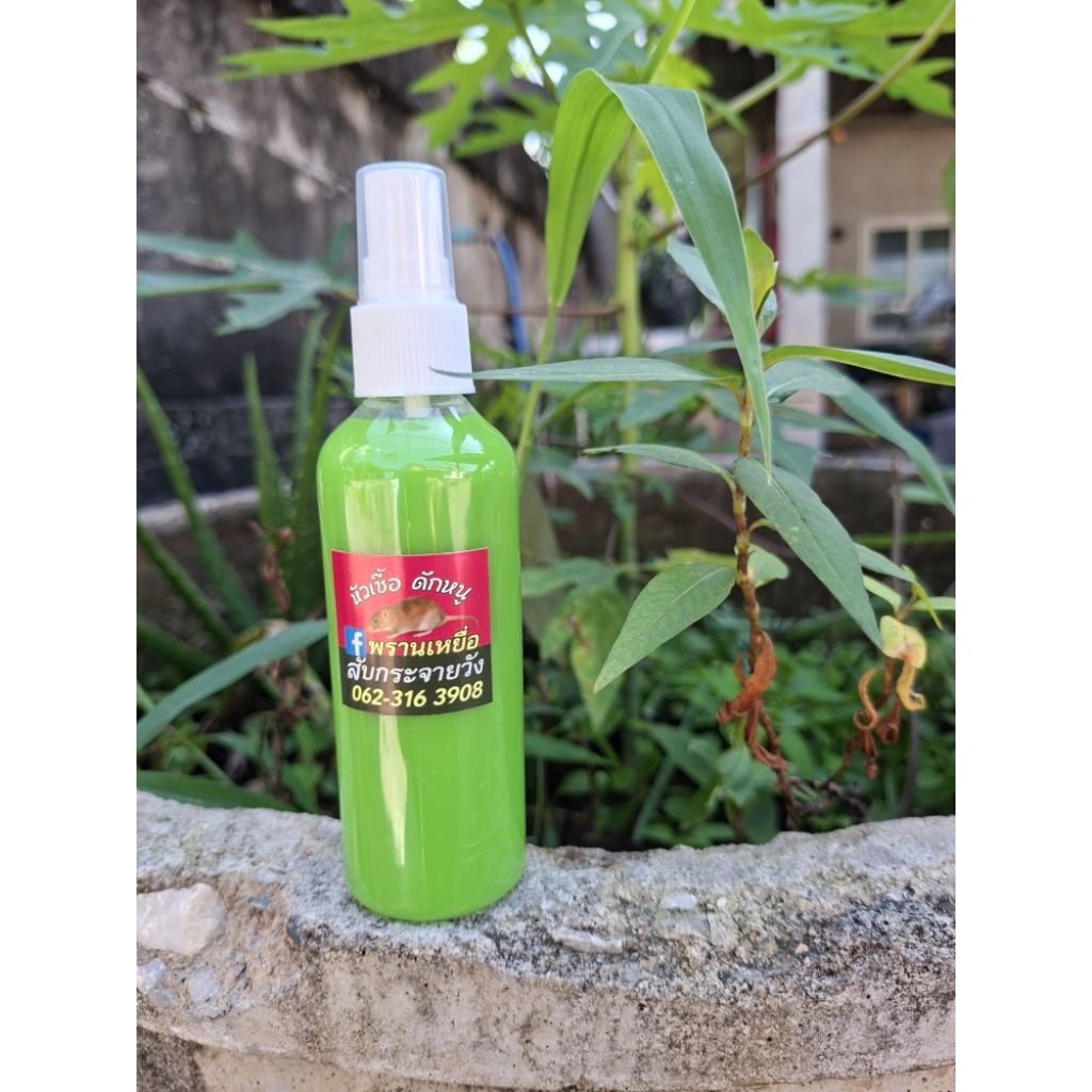 หัวเชื้อดักหนู สับกระจายวัง