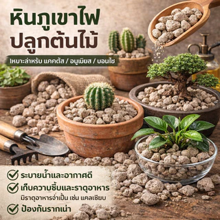 PPM หินภูเขาไฟ พัมมิส (Pumice) อินโดนีเซียแท้ เกรดพรีเมียม ระบายน้ำดีเยี่ยม แพ็ค 1 กิโลกรัม