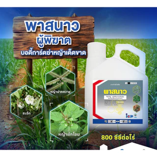 พาสนาว 4 ลิตร ( กลูโฟซิเนต 15% ) (ไอซีพี ลัดดา) กำจัดวัชพืช ฆ่าหญ้า หัวคันนา ร่องมัน ปรือ ธูป