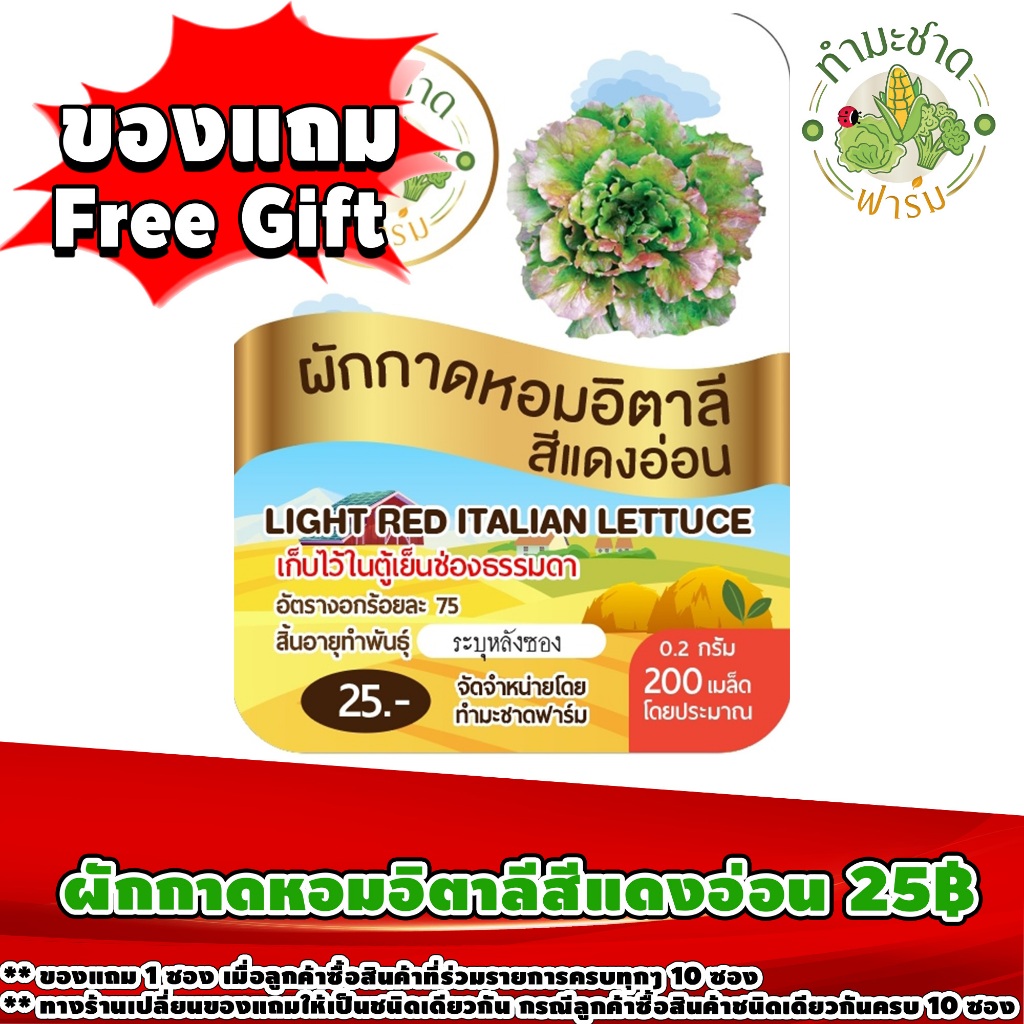 สินค้าของแถม Free Gift 1 ซอง เมื่อลูกค้าซื้อสินค้า เมล็ดพันธุ์ผักสลัดซองละ 25 บาท ในร้านค้า ทำมะชาดฟาร์ม ครบทุกๆ 10 ซอง