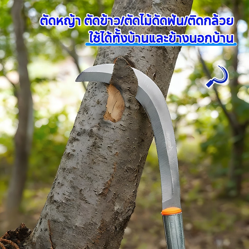 SK5 คมกริบ เหล็กแมงกานิส มีดพร้า มีดขอชัก มีดขอชักกล้วย ตัดแต่งใบกล้วย มีดตัดกล้วย มีดทำสวน มีดตัดแต่งกิ่งไม้ ด้ามยาว thumbnail 5