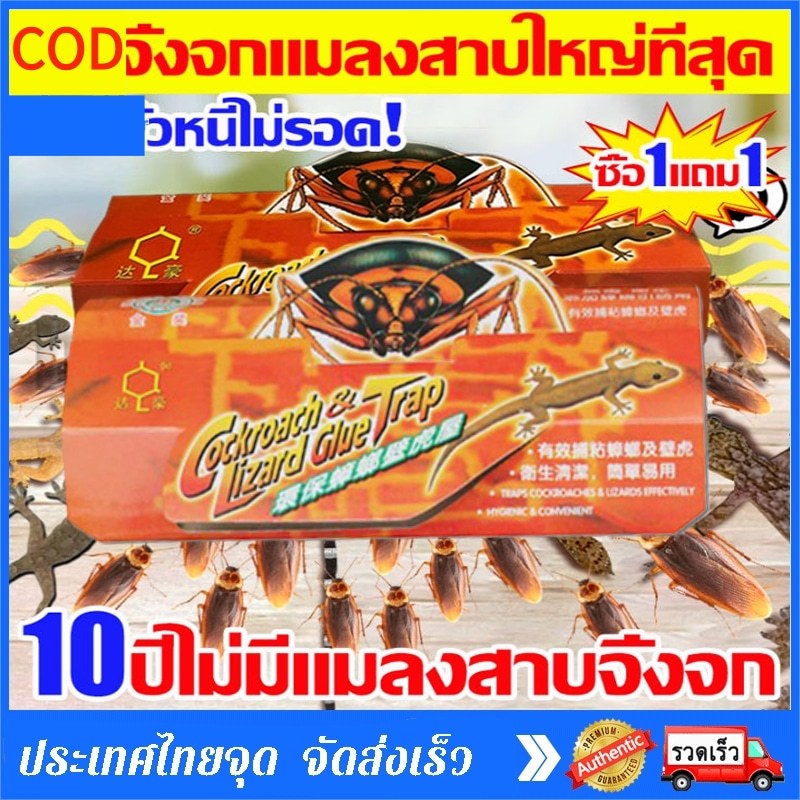 gecko trapใหญ่ที่สุด กาวดักจิ้งจก กาวดักแมลงสาบ บ้านจิ้งจก กําจัดจิ้งจก ที่ดักแมลงสาบ ปลอดภัยและปลอด