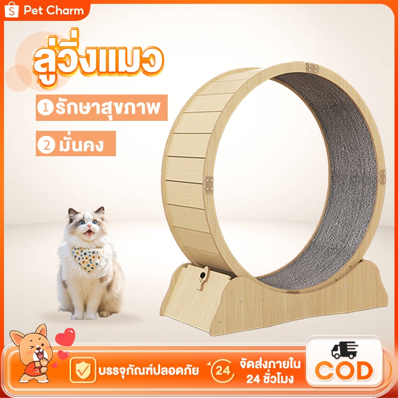 ลู่วิ่งแมว ออกกำลังกาย ขนาดใหญ่ Pet treadmill ที่ออกกำลังกายสัตว์เลี้ยง